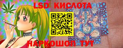 spice Новодвинск