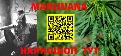 spice Новодвинск