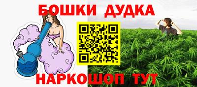 стаф Новозыбков