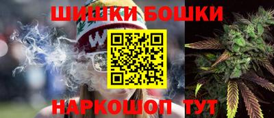 spice Новодвинск