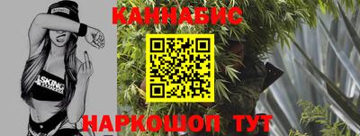 spice Новодвинск