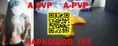 spice Новодвинск