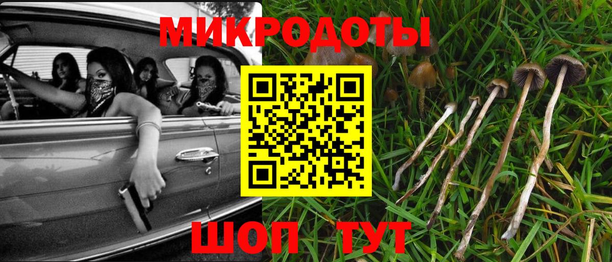 Галлюциногенные грибы мухоморы  Вход с VPN  Удомля 