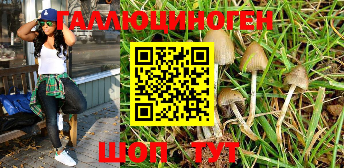 Псилоцибиновые грибы Magic Shrooms Удомля